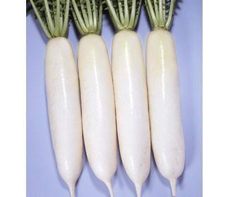 食用白蘿卜有什么好處?